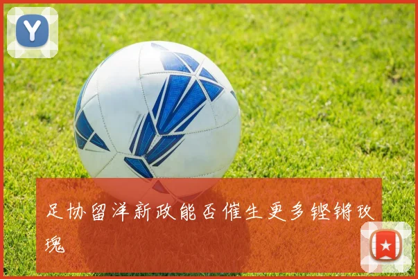 足协留洋新政能否催生更多铿锵玫瑰