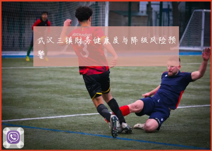 武汉三镇财务健康度与降级风险预警