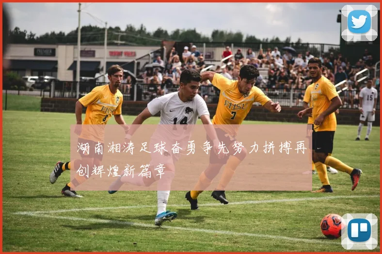 湖南湘涛足球奋勇争先努力拼搏再创辉煌新篇章