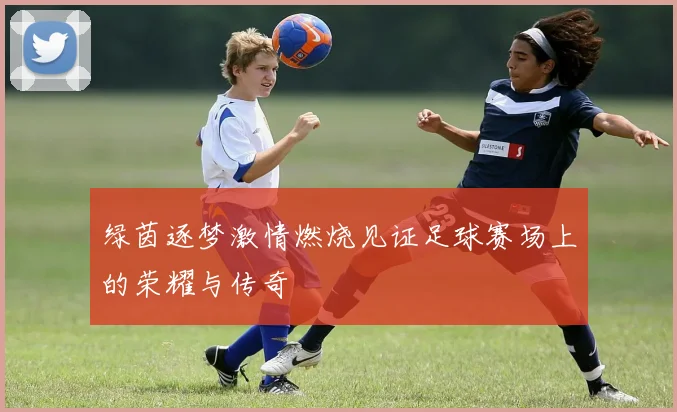 绿茵逐梦激情燃烧见证足球赛场上的荣耀与传奇