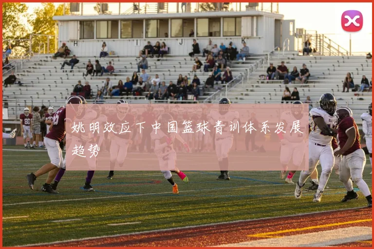 姚明效应下中国篮球青训体系发展趋势