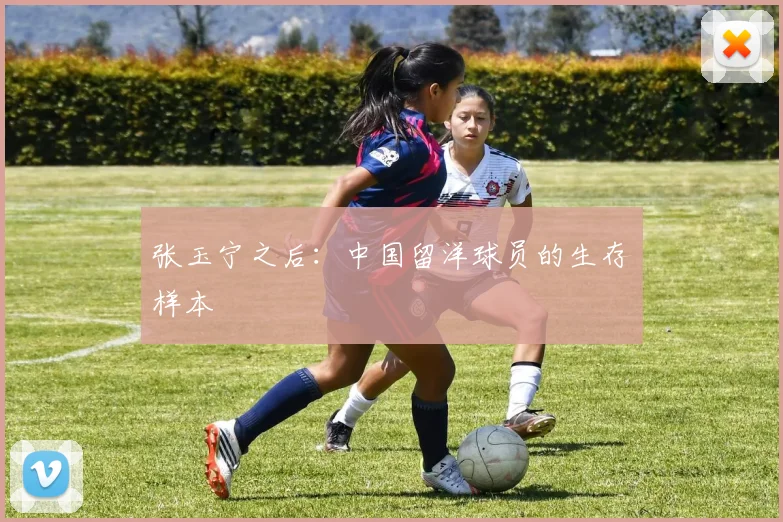 张玉宁之后：中国留洋球员的生存样本