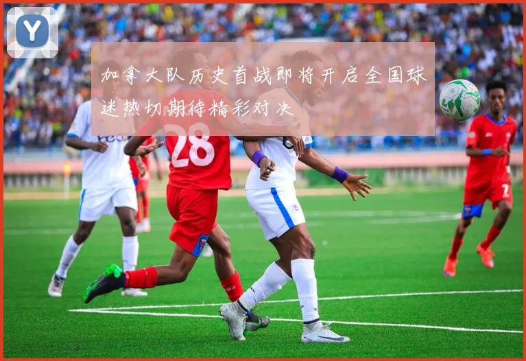 加拿大队历史首战即将开启全国球迷热切期待精彩对决