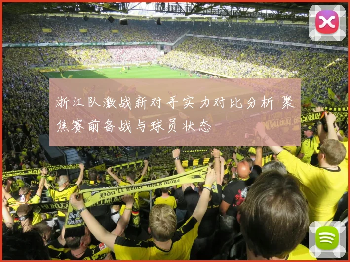 浙江队激战新对手实力对比分析 聚焦赛前备战与球员状态