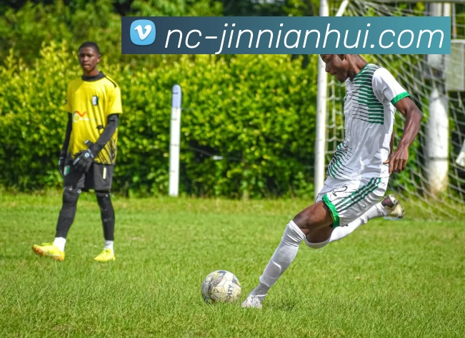 jinnianhui发展历程